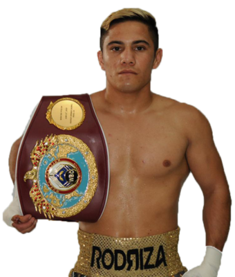 Soto retains title when ref stops bout prematurely